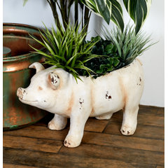 Ceramic Pigs Wayfair