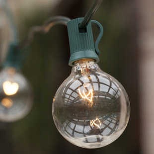 Best 50-Light Globe String Lights By Wintergreen Lighting Outdoor Lighting 50-Light Globe String Lights By Wintergreen Lighting Outdoor Lighting