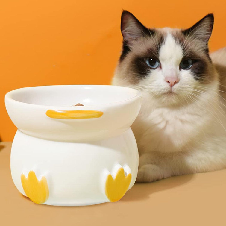 elevated cat food bowls