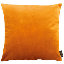 bright scatter cushions