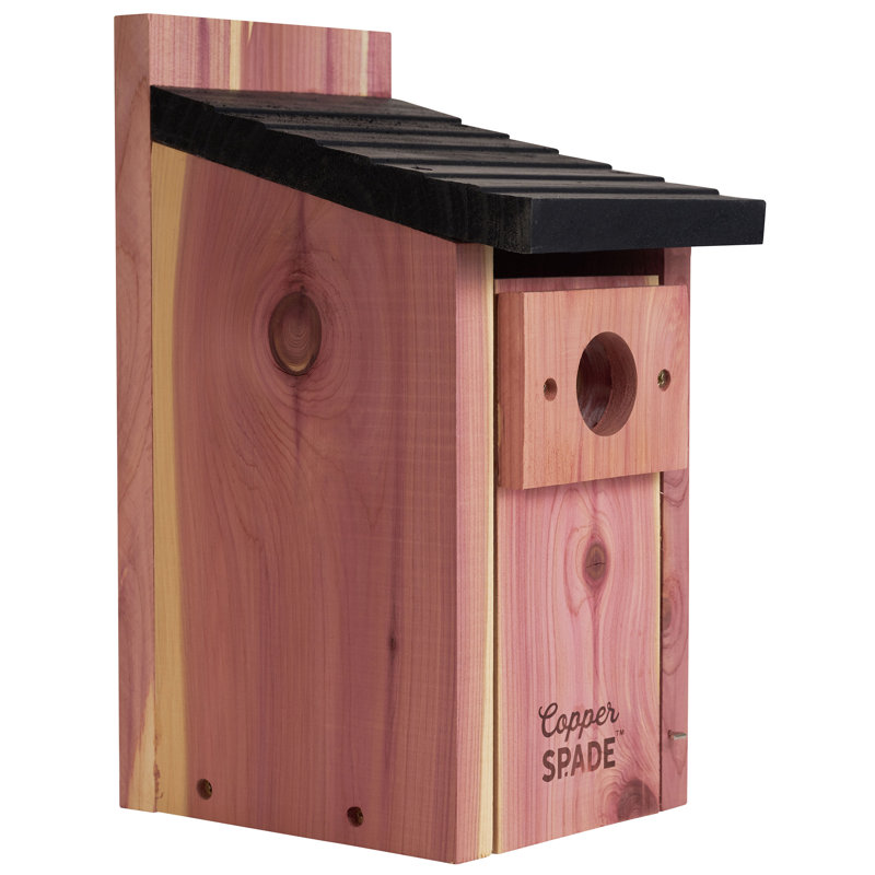 2 Wren Bird House Nesting Box All Natural Rough Sawn Western Red Cedar Made USA