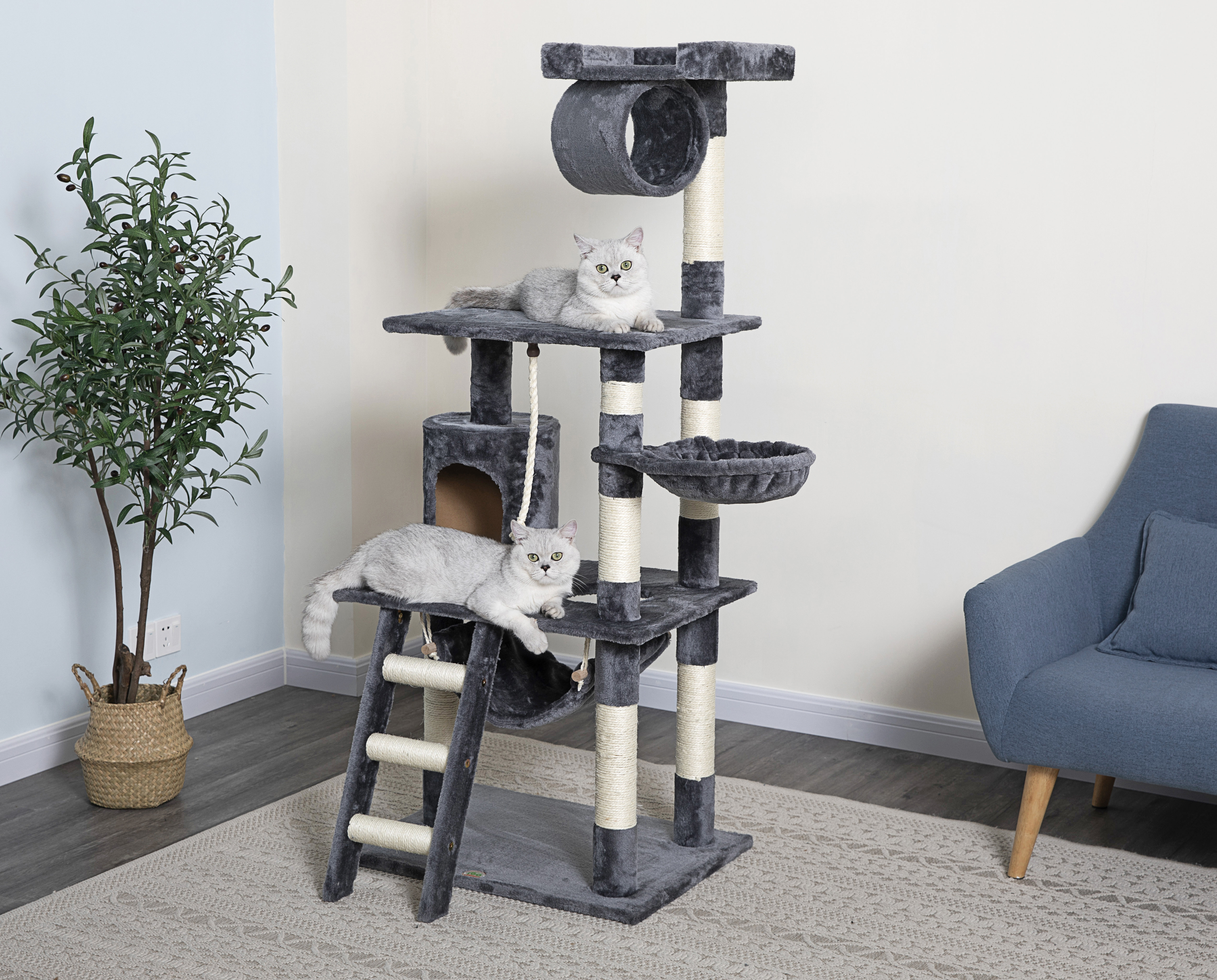 Go Pet Club 62 Cat Tree Reviews Wayfair