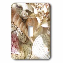 3dRose lsp_194392_2 Drilled Shell Blue Streaks Seashell Light Switch Cover 