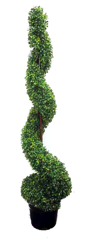 Ophelia Co Spiral Floor Boxwood Topiary In Pot Reviews