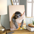 East Urban Home 'Brown-Throated Three-Toed Sloth Baby' Photographic Print on Canvas