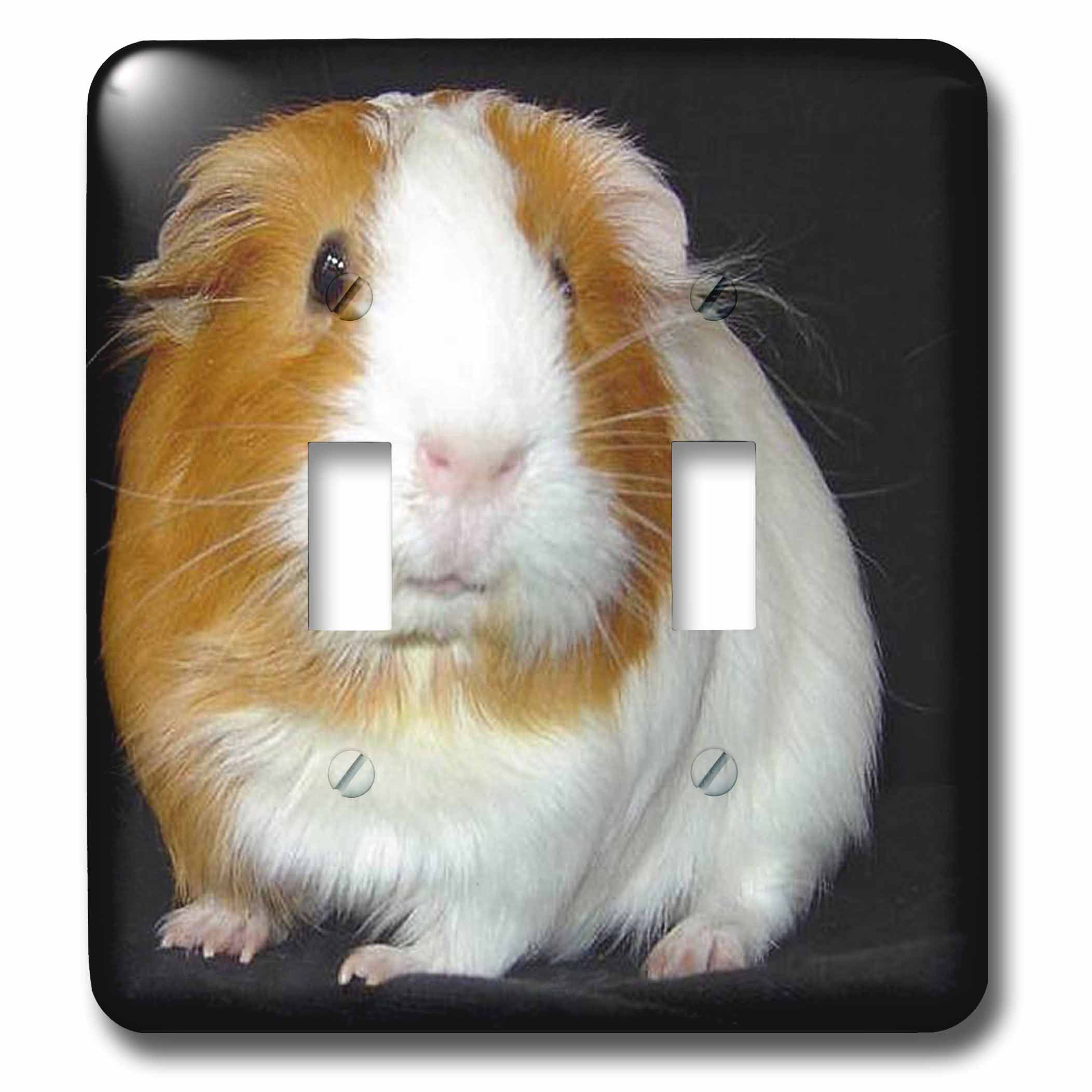 electronic guinea pig