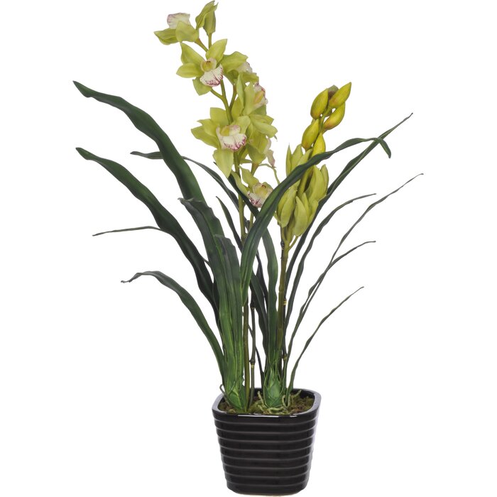 House Of Silk Flowers Faux Green Cymbidium Orchid Flower In Vase