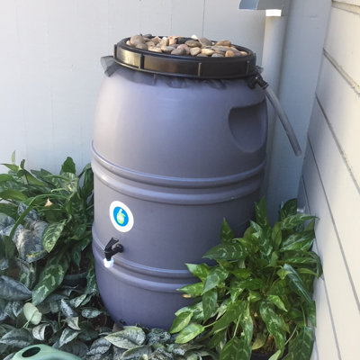 60 Gallon Rain Barrel