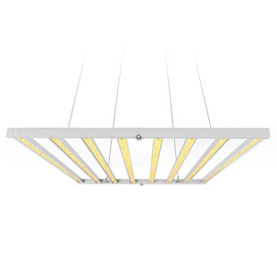 LED Full Spectrum Grow Light