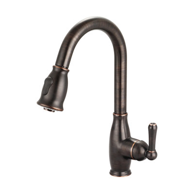 Accent Pull Down Single Handle Kitchen Faucet with Accessories
