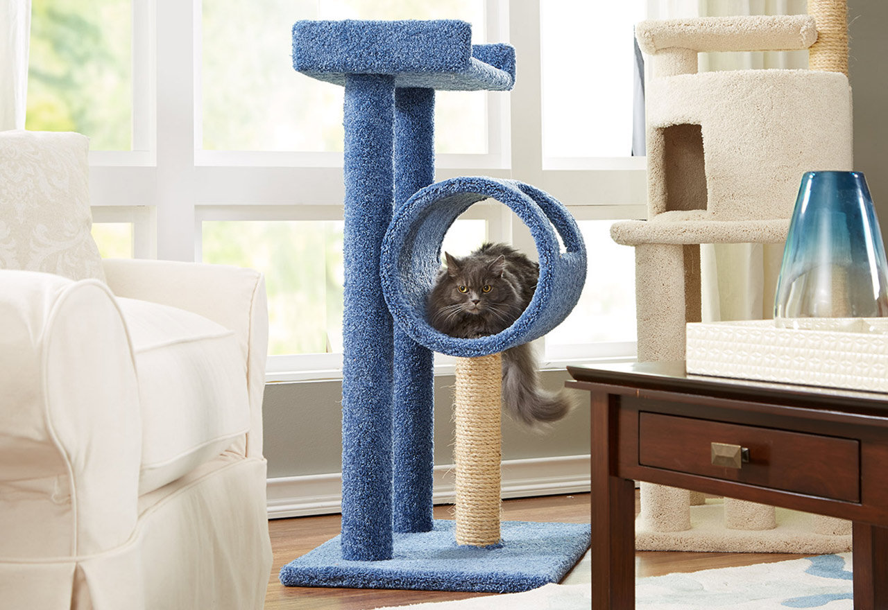 [BIG SALE] Cat Trees & Toys from 20 You’ll Love In 2022 Wayfair