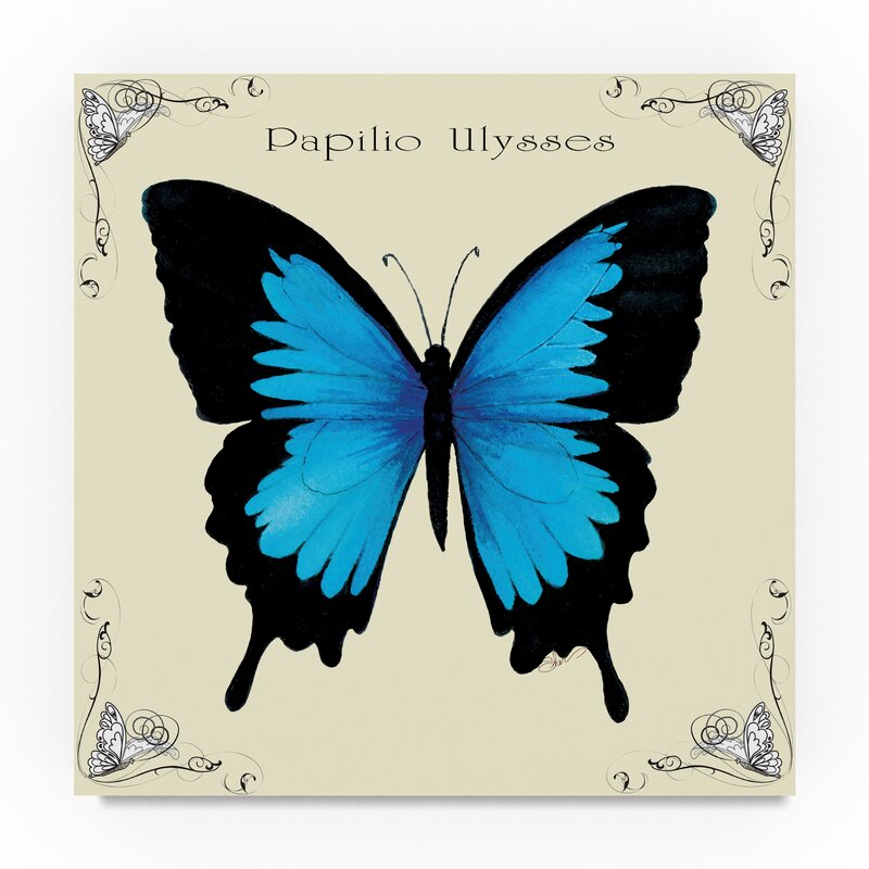 %2527Butterfly+Blue+Papilio+Ulysses%2527+Graphic+Art+Print+on+Wrapped+Canvas.jpg