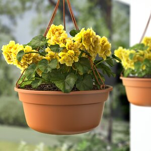 Leadore Self-Watering Vinyl Hanging Planter