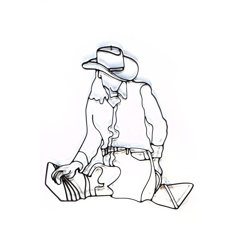 Cowgirl Decor Wayfair Ca