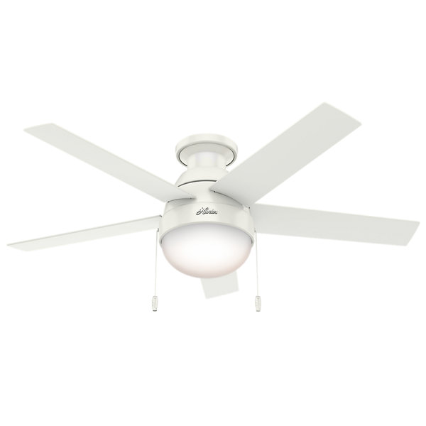 Hunter Flush Mount Ceiling Fan Wayfair