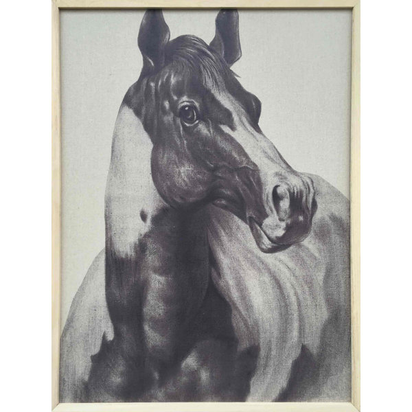 Indian Horse I Oil Painting Print On Wrapped Canvas Joss Main