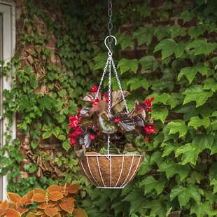 Wrought Iron Small 28" Susanne Wall Basket Flower Planter Pot Holder 