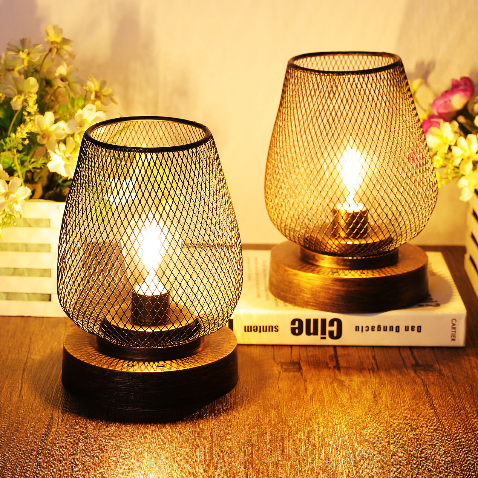 wayfair battery operated lamps