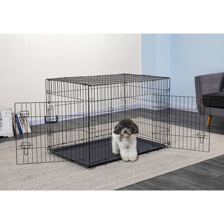 electronic dog crate