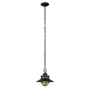 Liam 1-Light Outdoor Pendant