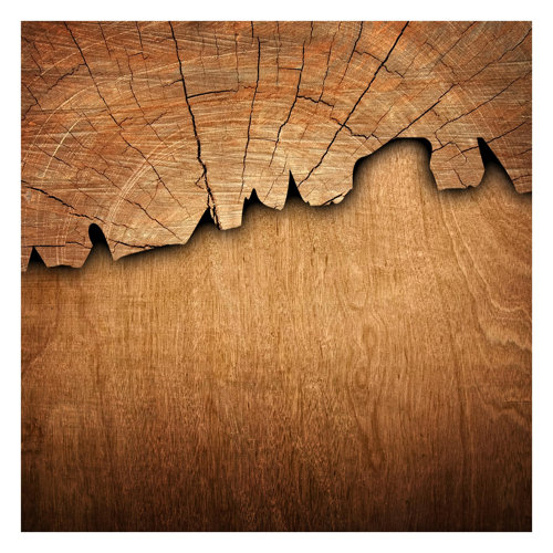Wood Structure II 3.36m x 3.36m Textured Matte Peel & Stick Wall Mural East Urban Home