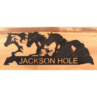Beware Of American Paint Horse Rustic Sign SignMission Classic Plaque Decoration 