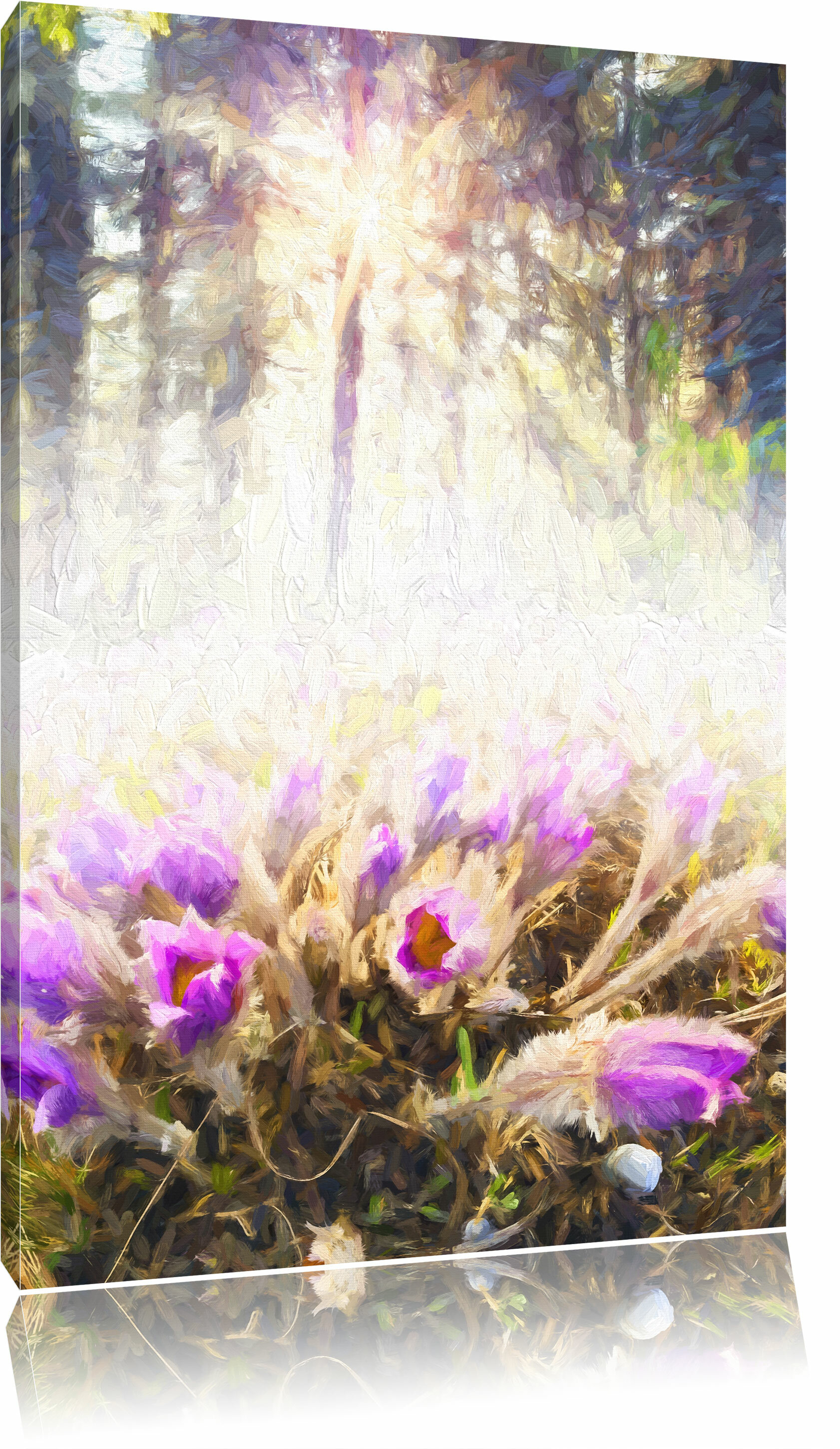 Finger Kuhschelle Blumen Leinwandbilder Fotodruck 