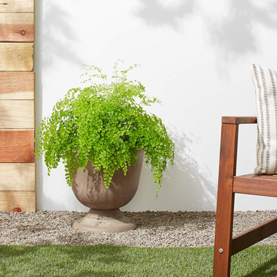 Myrtle Avenue Urn Planter