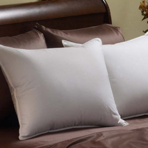 Down Chamber Pillow by Alwyn Home