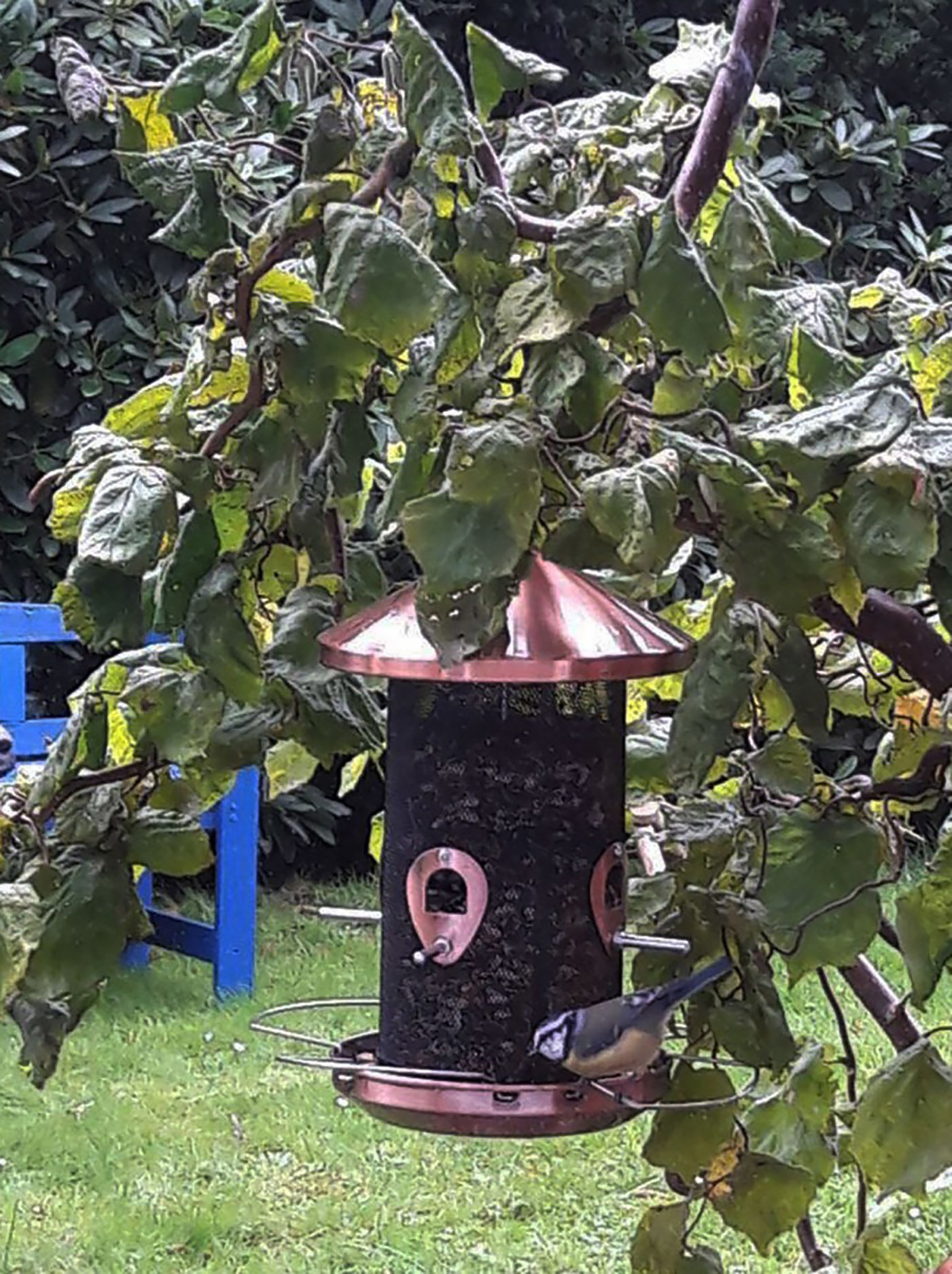 Sol 72 Outdoor Panorama Tube Bird Feeder Wayfair Co Uk
