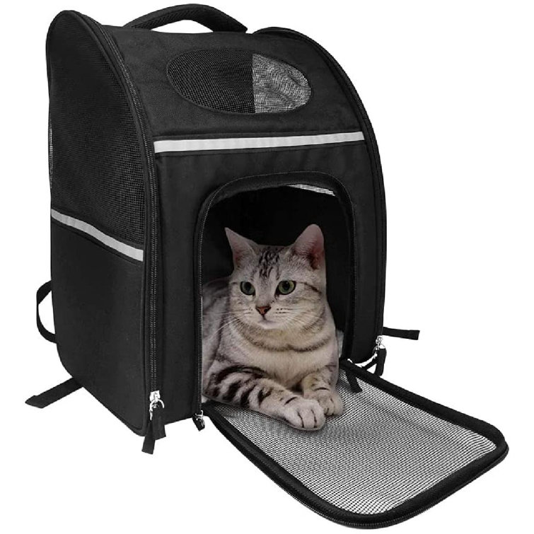 kitten backpack carrier
