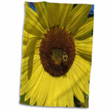 Sunflower Towels Wayfair