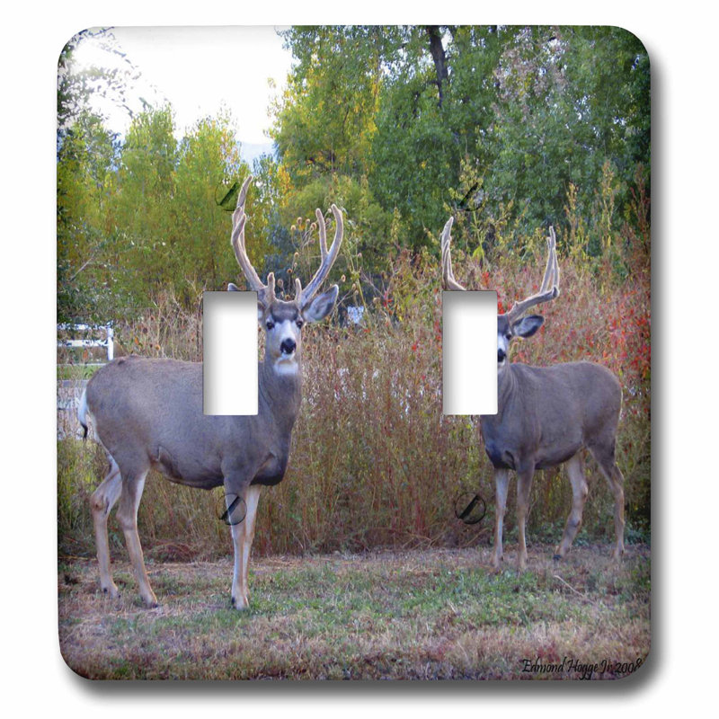 3drose Deer 2 Gang Toggle Light Switch Wall Plate Wayfair