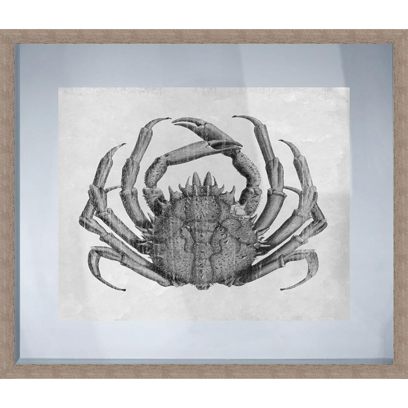 Ptm Crab Picture Frame Graphic Art Print On Paper Wayfair