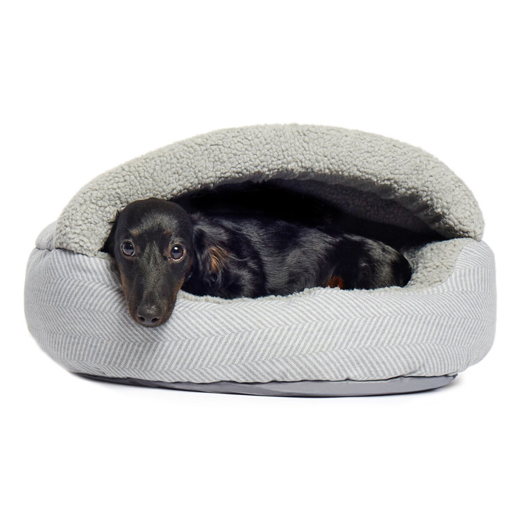 wayfair dog beds