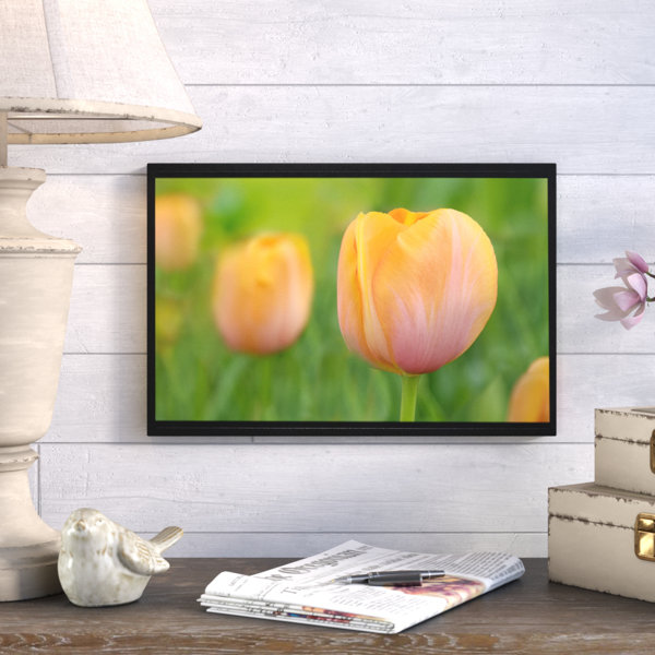 August Grove Tulip Dordogne Framed Photographic Print On Wrapped Canvas Wayfair