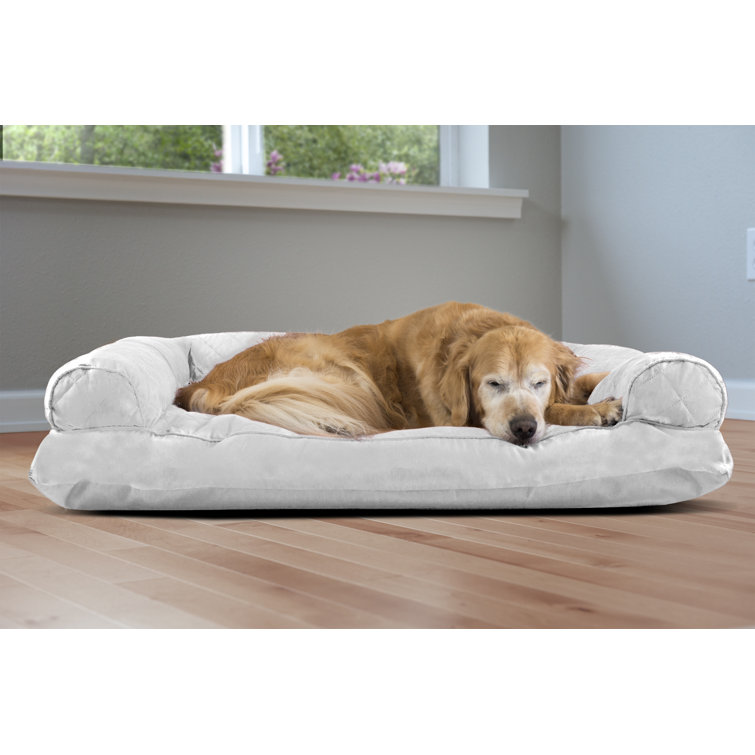 deluxe dog bed
