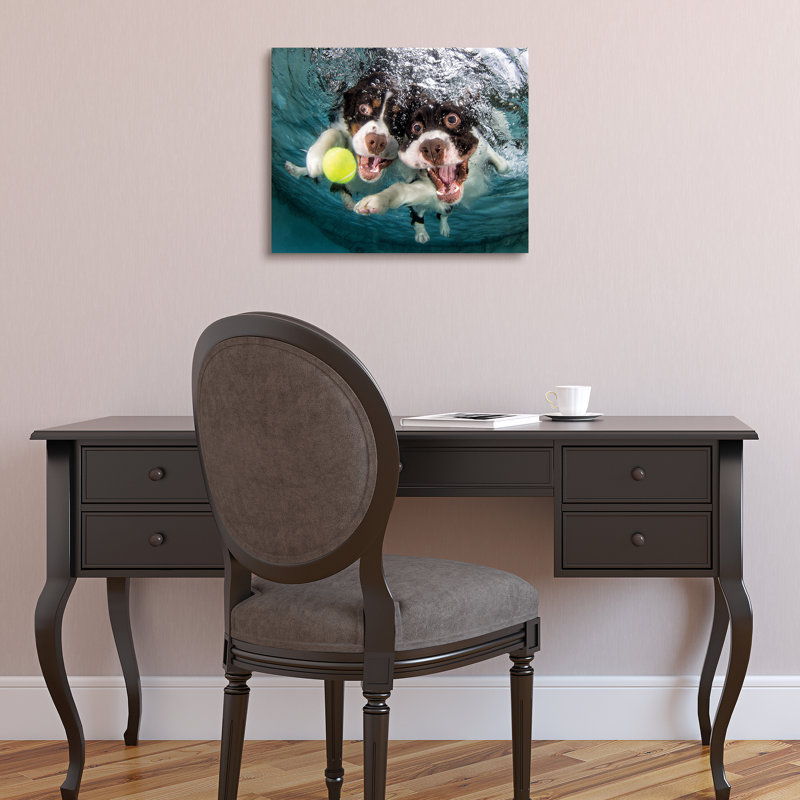 desk springer spaniels