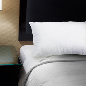 Ultra-Soft Polyfill Pillow by Alwyn Home