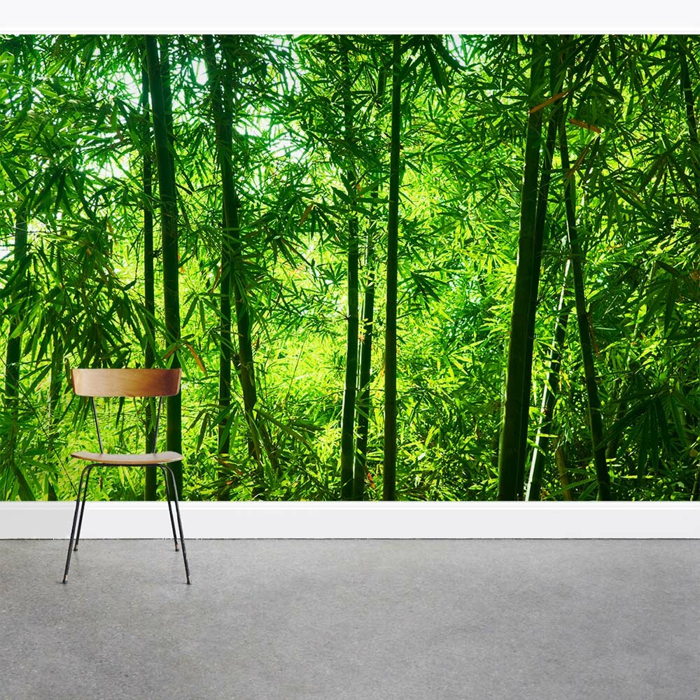 Wallums Wall Decor Leafy Bamboo Forest 8 X 144 3 Piece Wall Mural Wayfair 3083