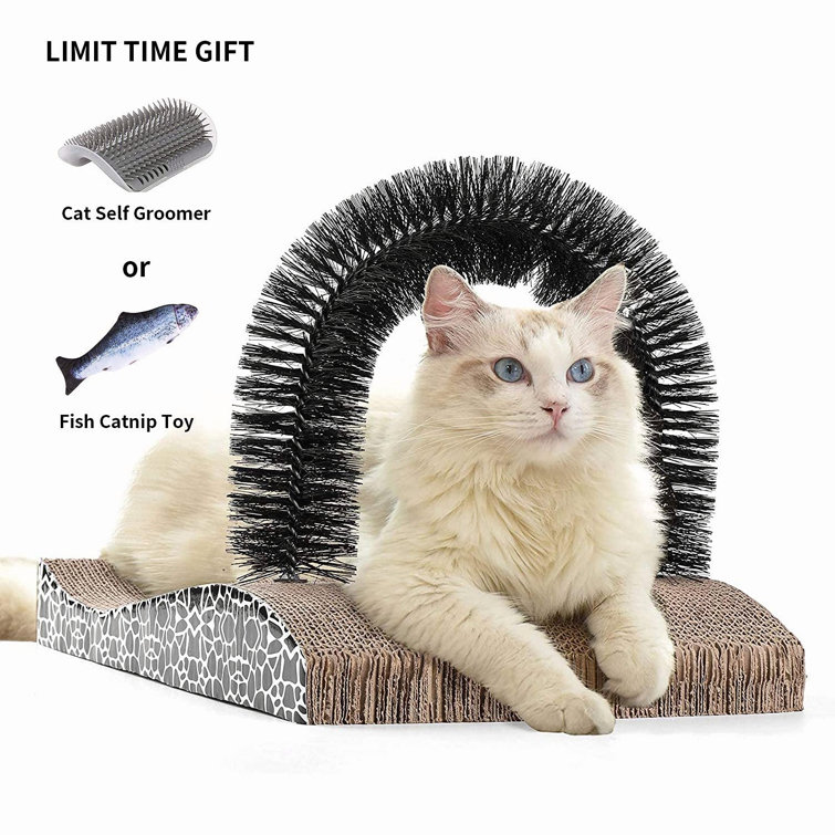 self cat scratcher