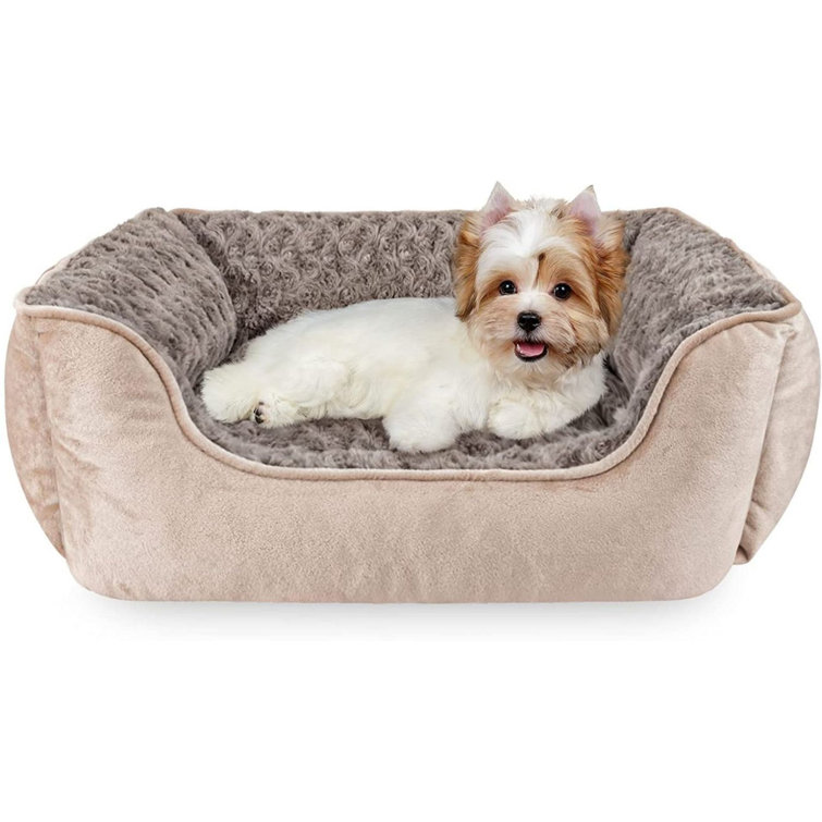 large rectangle dog bed