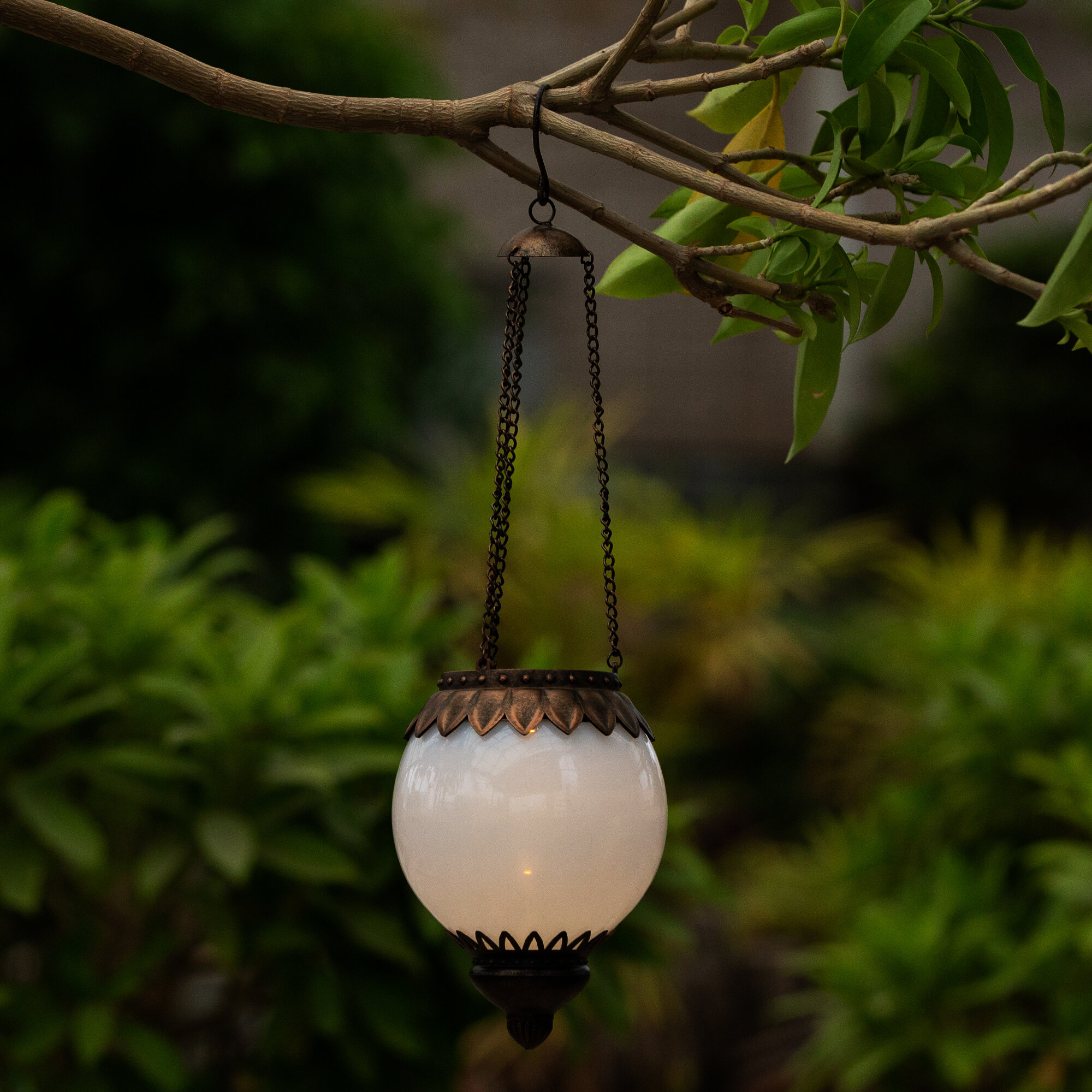 hanging globe lantern