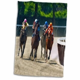 Horse Stuff Wayfair