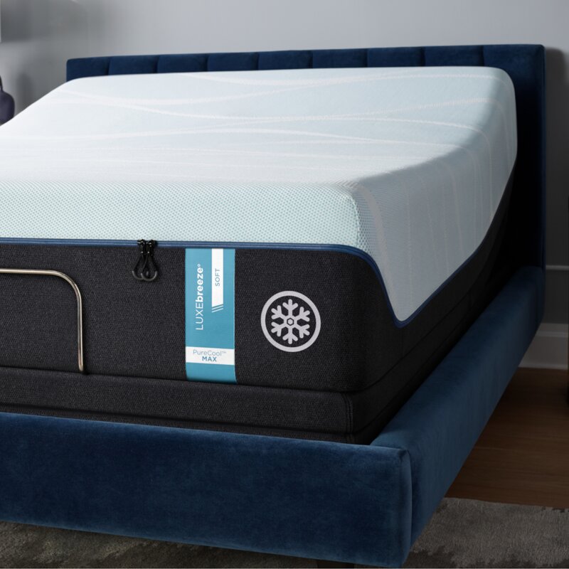 Tempur-Pedic TEMPUR-Ergo Extend Adjustable Bed Base & Reviews