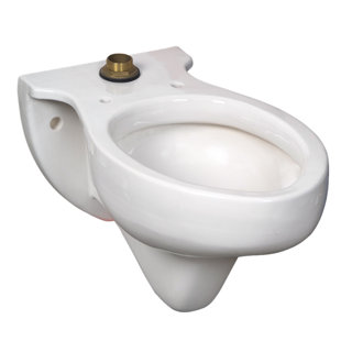 Go to store & view more images American Standard Rapidway Elongated Toilet Bowl