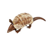 Metal Armadillo Wayfair