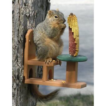 Birds Choice Recycled Jar Squirrel Feeder Reviews Wayfair