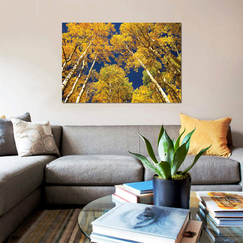 East Urban Home Quaking Aspen Grove In Fall Colors Maroon Bells Snowmass Wilderness Colorado I Photographic Print On Canvas Wayfair