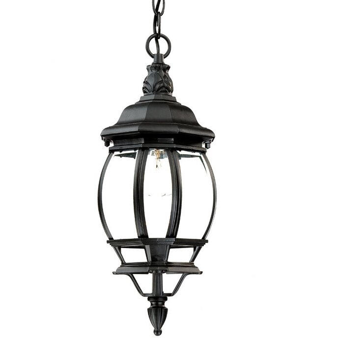 Fleur De Lis Living Zuckerman Outdoor Hanging Lantern & Reviews | Wayfair